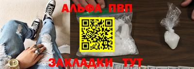 тгк Кингисепп
