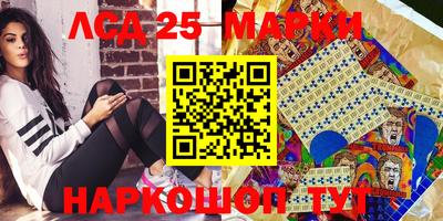тгк Кингисепп