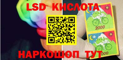 тгк Кингисепп