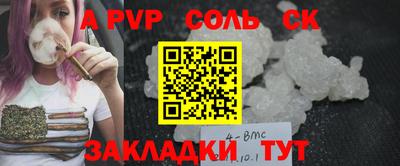 тгк Кингисепп