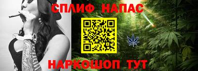 тгк Кингисепп