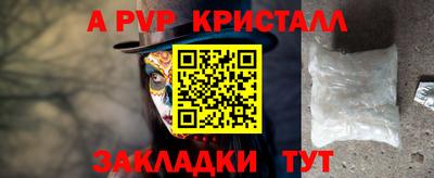 тгк Кингисепп