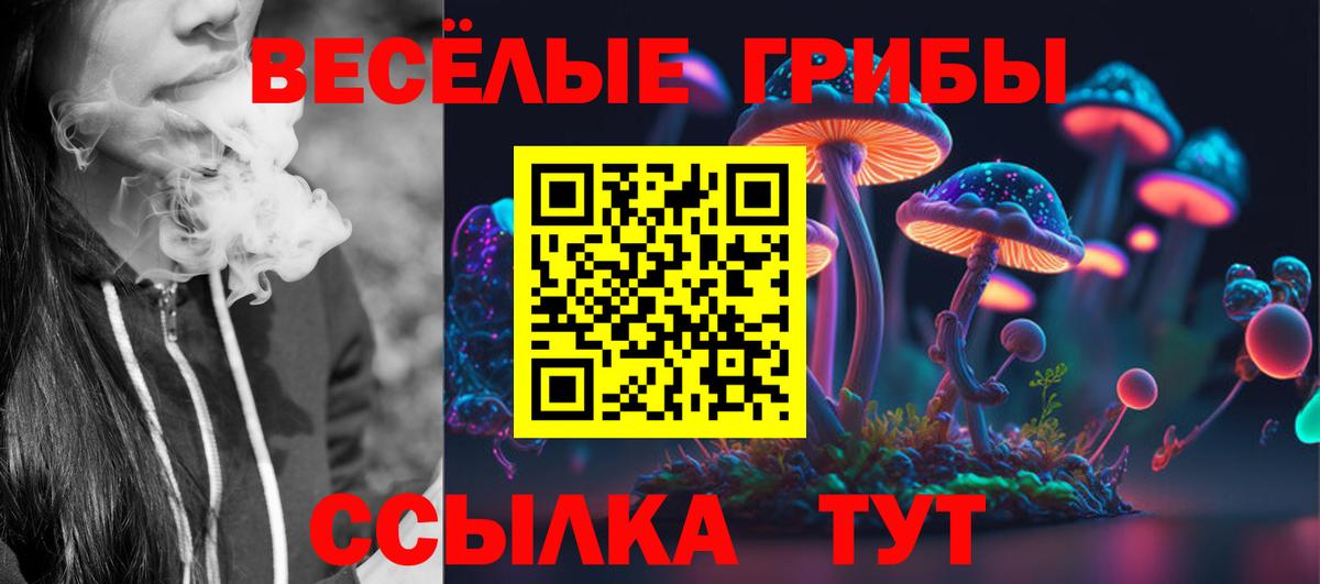 Галлюциногенные грибы Cubensis Краснознаменск